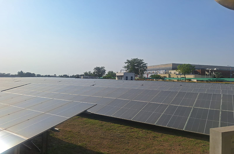 Sustainability at the Plant